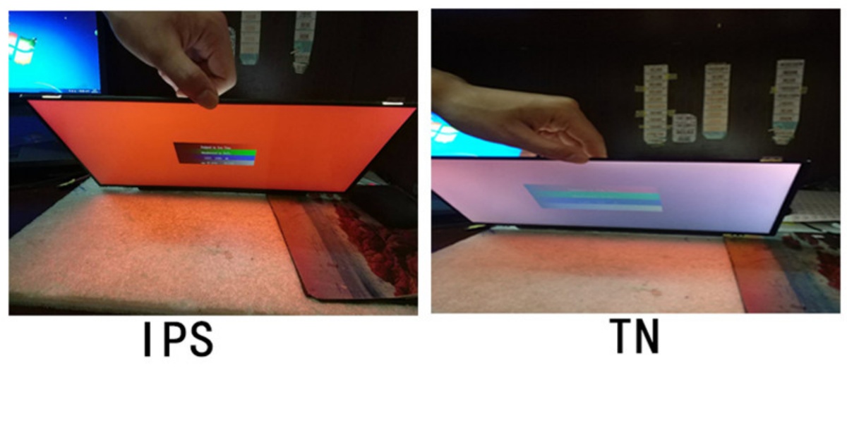 TN Vs IPS Screen